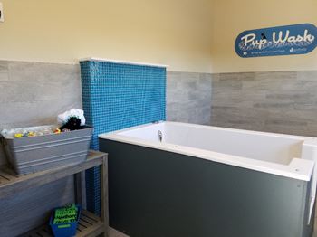 Pet Spa Bathing Station